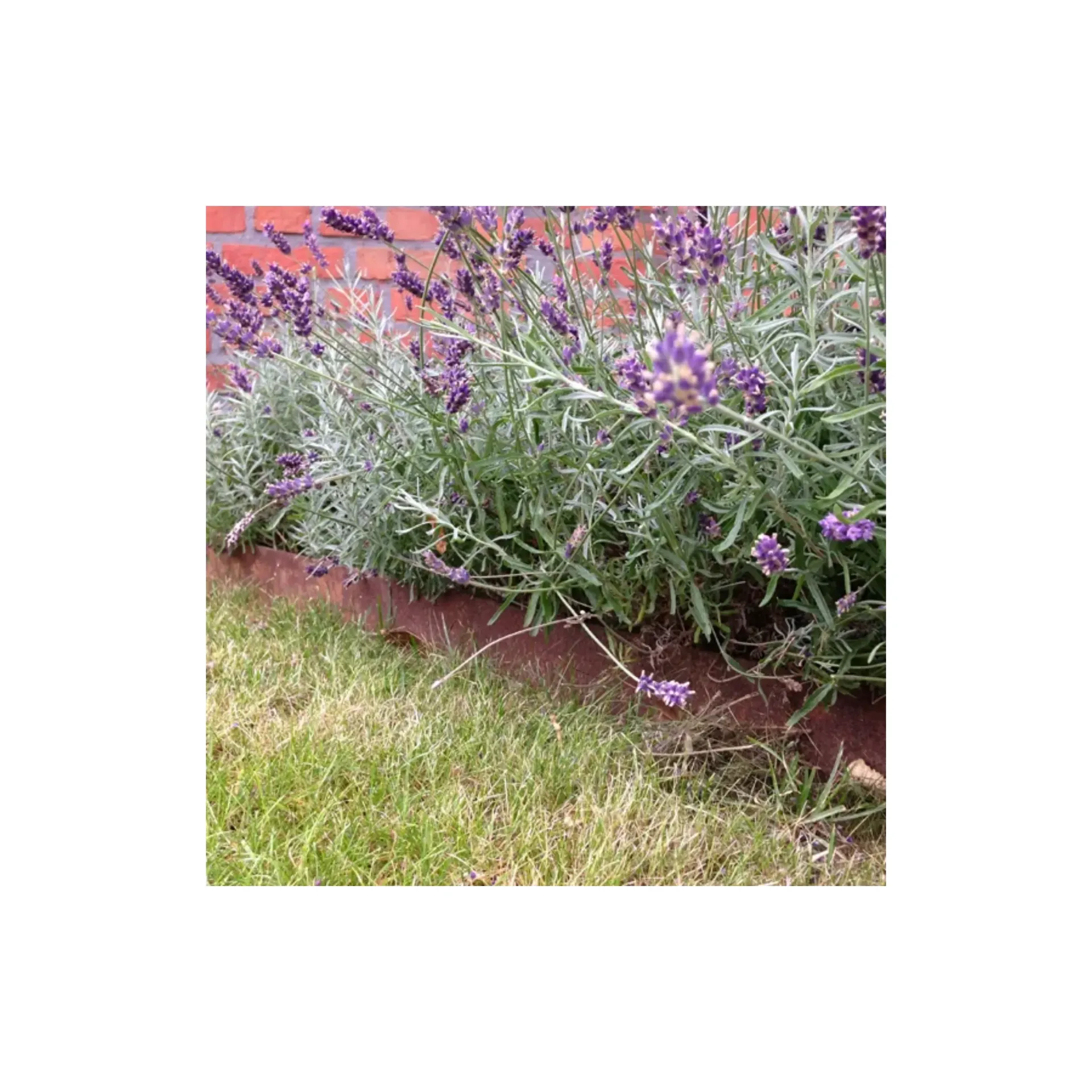 Kantopsluiting FLEX Cortenstaal